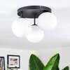 Chehalis Plafoniera, Lampada a sfera Bianco, 3-Luci