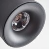 Narel Plafoniera, Faretto da soffitto LED Nero, 3-Luci