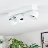 Narel Plafoniera, Faretto da soffitto LED Bianco, 3-Luci