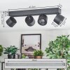 Narel Plafoniera, Faretto da soffitto LED Nero, 4-Luci