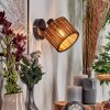 Cando Applique, Faretto da parete Nero, 1-Luce