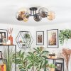 Chehalis Plafoniera, Lampada a sfera 62 cm Ambrato, Grigio fumo, 6-Luci