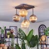 Chehalis Plafoniera, Lampada a sfera Ambrato, Chiaro, Grigio fumo, 5-Luci
