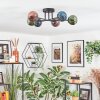 Chehalis Plafoniera, Lampada a sfera 51 cm Blu, Verde, Ramato, 6-Luci
