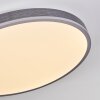 Salmi Plafoniera, Panel LED Grigio, Argento, 1-Luce, Telecomando