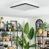 Barullu Plafoniera, Panel LED Nero, Bianco, 1-Luce
