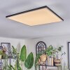 Barullu Plafoniera, Panel LED Nero, Bianco, 1-Luce