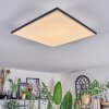Barullu Plafoniera, Panel LED Nero, Bianco, 1-Luce
