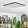 Barullu Plafoniera, Panel LED Nero, Bianco, 1-Luce