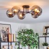 Gastor Plafoniera, Lampada a sfera Grigio fumo, 6-Luci