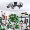 Gastor Plafoniera, Lampada a sfera Grigio fumo, 6-Luci
