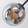 Gastor Plafoniera, Lampada a sfera Grigio fumo, 6-Luci