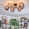 Gastor Plafoniera, Lampada a sfera Grigio fumo, 6-Luci