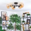 Gastor Plafoniera, Lampada a sfera Ambrato, 6-Luci