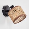 Barcos Applique, Faretto da parete Nero, 1-Luce
