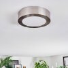Tavin Plafoniera LED Nichel opaco, 1-Luce
