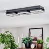 Walon Plafoniera LED Nero, 1-Luce