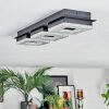 Walon Plafoniera LED Nero, 1-Luce