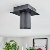 Udena Plafoniera LED Nero, 1-Luce