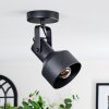 Tylar Plafoniera, Faretto da soffitto Nero, 1-Luce