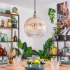 Koyoto Lampadario a sospensione, Lampada a sfera, Lampada a sospensione Oro, 1-Luce