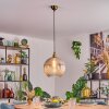 Koyoto Lampadario a sospensione, Lampada a sfera, Lampada a sospensione Oro, 1-Luce