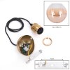 Koyoto Lampadario a sospensione, Lampada a sfera, Lampada a sospensione Oro, 1-Luce