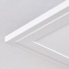 Belan Plafoniera, Panel LED Bianco, 1-Luce