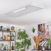 Belan Plafoniera, Panel LED Bianco, 1-Luce