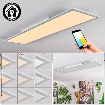 Belan Plafoniera, Panel LED Bianco, 1-Luce