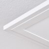 Belan Plafoniera, Panel LED Bianco, 1-Luce, Telecomando