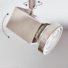 Danil Plafoniera, Faretto da soffitto LED Nichel opaco, 4-Luci