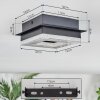 Walon Plafoniera LED Nero, 1-Luce