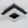 Walon Plafoniera LED Nero, 1-Luce