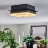 Walon Plafoniera LED Nero, 1-Luce