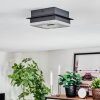 Walon Plafoniera LED Nero, 1-Luce