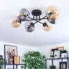 Gastor Plafoniera, Lampada a sfera Ambrato, Chiaro, Grigio fumo, 6-Luci