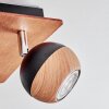 Haldor Plafoniera, Faretto da soffitto Cromo, Aspetto del legno, Nero, 4-Luci