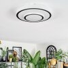 Borin Plafoniera LED Grigio, Bianco, 1-Luce