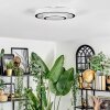 Borin Plafoniera LED Grigio, Bianco, 1-Luce