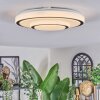 Borin Plafoniera LED Grigio, Bianco, 1-Luce