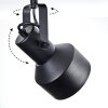 Tylar Plafoniera, Faretto da soffitto Nero, 2-Luci