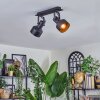 Tylar Plafoniera, Faretto da soffitto Nero, 2-Luci