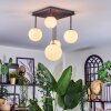 Chehalis Plafoniera, Lampada a sfera Bianco, 5-Luci