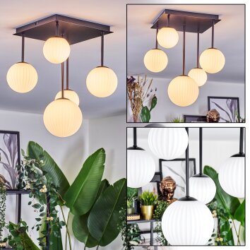 Chehalis Plafoniera, Lampada a sfera Bianco, 5-Luci