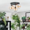 Gastor Plafoniera, Lampada a sfera 30 cm Ambrato, Chiaro, 3-Luci