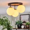 Gastor Plafoniera, Lampada a sfera Bianco, 3-Luci