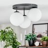 Gastor Plafoniera, Lampada a sfera Bianco, 3-Luci