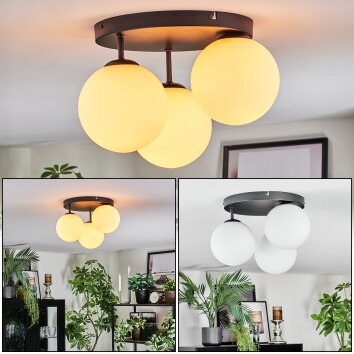 Gastor Plafoniera, Lampada a sfera Bianco, 3-Luci