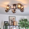 Gastor Plafoniera, Lampada a sfera Cromo, Chiaro, Grigio fumo, 6-Luci